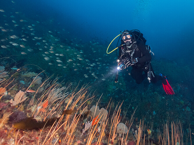2025-03-18 The Needle-23-Edit