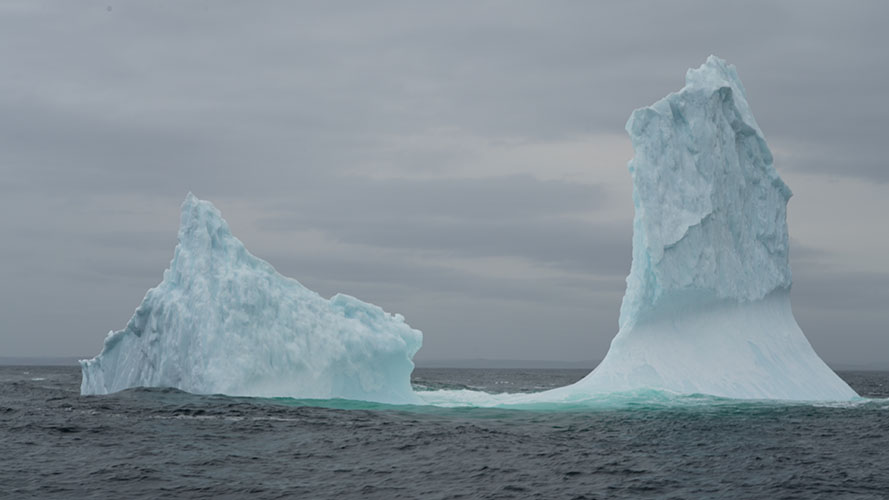Iceberg near St Johns